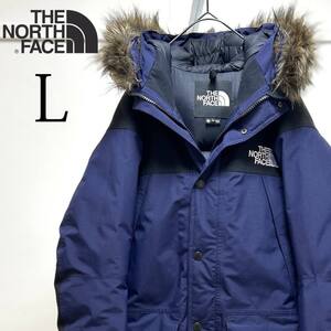 THE NORTH FACEザノースフェイス×GORETEX/ND91935/L