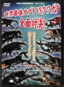 世界最強カブトvsクワガタ　全面対決!　ヘラクレス、ネプチューン、アクティオン、ギラファ、タランドゥスなど