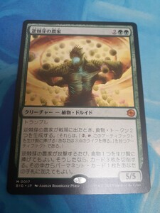 mtg 　逆棘芽の農家　日本語　