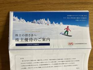 ★即決！★定形郵便で送料無料！★日本駐車場開発 株主優待券 1冊(1,000株)★紙チケットのみ★駐車場割引 スキー場リフト券割引等