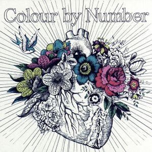 Colour by Number(DVD付)/MONKEY MAJIK