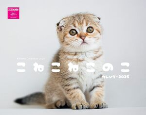 こねこねこのこカレンダー 2025（月めくり/壁掛け） (ネコ・パブリッシング) (カレンダーシリーズ)