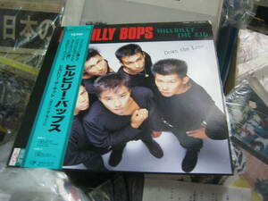 HILLBILLY BOPS ヒルビリーバップス / HILLBILLY THE KIDS 帯付LP 宮城宗典 馬飼野康二 VINCENTS タイマーズ 忌野清志郎 梅津和時 