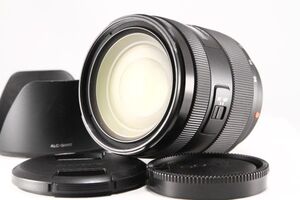 ★極上品★ソニー SONY DT 16-50mm F2.8 SSM SAL1650★希少★99930