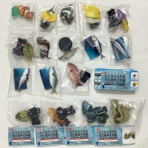 ユージン 原色図鑑シリーズ13 原色海水魚図鑑 名古屋港水族館 スペシャルアソート 全17種 セット シークレット4種含む 2005年 Yujin