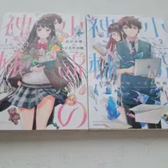 小説の神様 1巻 2巻 セット