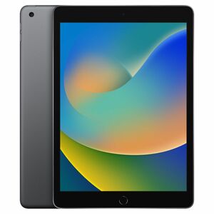 新品同様 iPad 第9世代 Wi-Fiモデル 256GB 10.2インチ MK2N3J/A スペースグレイ アイパッド タブレット Apple アップル #60※816/d.h/d.e