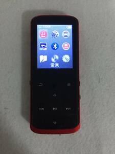GY-999 動作品 音出し確認済 RUIZU D50 MP3プレーヤー 8GB Digital player