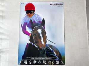 スペシャルウィーク 武豊 ポスター JRA ヒーロー列伝 46 新品 競馬