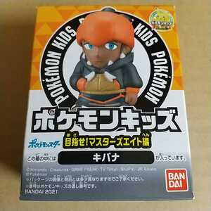 ポケモンキッズ 目指せ！マスターズエイト編 キバナ ポケットモンスター 食玩 