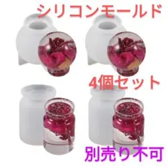 匿名配送♡2種4個セット☆ミニボトル型シリコンモールド（別売り不可）