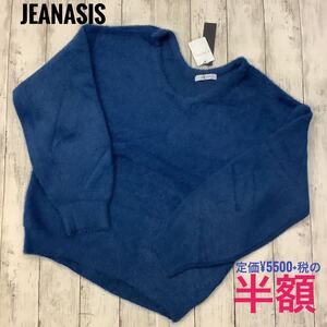 JEANASIS Vネック ニット セーター フリー ふわふわ シャギー ブルー 長袖 トップス