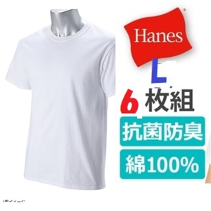 新品●送料無料【【Hanes（ヘインズ）】綿１００％・抗菌防臭　丸首半袖　Ｔシャツ６枚組 　(ヘインズ)Hanes 半袖TシャツL