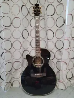 TAKAMINE  アコースティックギター