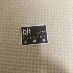 blt graph vol.107 応募券のみ