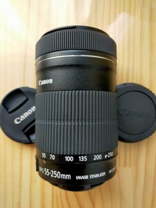 ★極美品★ Canon キャノン EF-S 55-250mm F4-5.6 IS STM