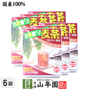 健康茶 むぎ茶 10g×16袋×6箱セット 国産 麦茶 ムギ茶 ミネラル やさしい おいしい 送料無料