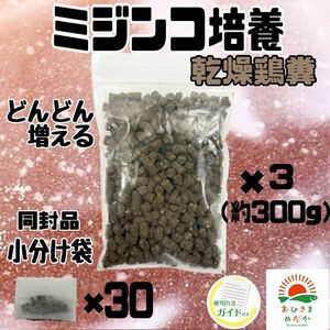 【ミジンコ培養乾燥鶏糞 3袋】メダカエサ 鶏ふん メダカ 針子めだかタマミジンコ オオミジンコ タイリクミジンコPSBとクロレラ併用可