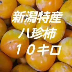 【新潟特産 ハ珍柿】ご家庭用 10キロ