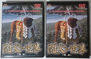 DVD 闘犬の世界 前、後編 2枚セット