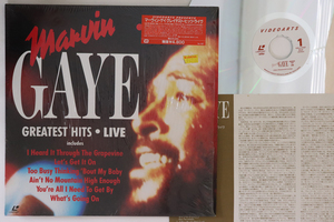 LASERDISC Marvin Gaye Greatest Hits・live VALJ3187 VIDEO ARTS /00600