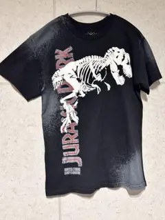 ジュラシックパーク　レトロ　tシャツ  M 黒　ユニバーサルスタジオ