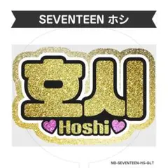 SEVENTEEN『HOSHI ホシ』グリッター風ネームボード　応援ボード