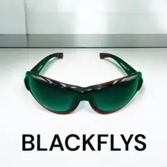 ブラックフライ BLACKFLYS サングラス ブラック 黒