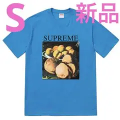 Supreme Still Life Tee S Blue 新品未使用