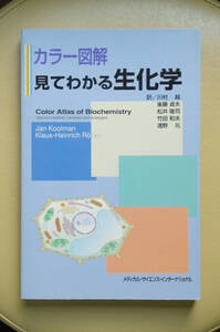 【期間限定値下げ】カラー図解 見てわかる生化学　Color Atlas of Biochemistry　川村越ほか訳　メディカルサイエンスインターナショナル