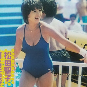 お宝 河合奈保子 松田聖子 森尾由美 松本典子 芳本美代子 荻野目洋子 西田ひかる 山瀬まみ 切り抜き 1P / 堀ちえみ 小森みちこ他 1P