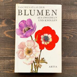 ドイツの古い植物図鑑(BLUMEN 1975年)/アンティーク ヴィンテージ 植物画 花 洋書 ボタニカルアート インテリア 紙物 雰囲気◎ /