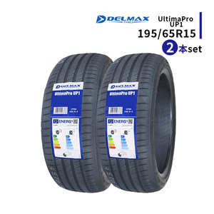 2本セット 195/65R15 2024年製造 新品サマータイヤ DELMAX UltimaPro UP1 送料無料 195/65/15