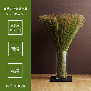 国産 日本製 い草 インテリア オブジェ 消臭 空気清浄 ナチュラル 植物 置物 95×10cm 畳のもと