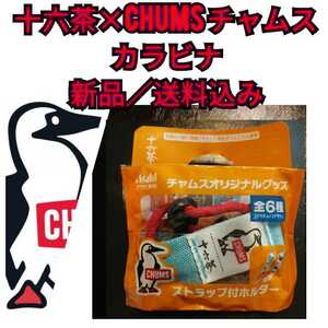 ○新品【十六茶ｘCHUMS(チャムス)カラビナ(ストラップ付ホルダー)】水色★送料無料