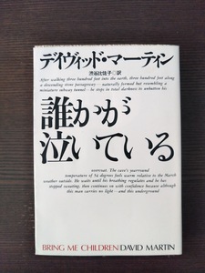 誰かが泣いている　デイヴィッド・マーティン/著　渋谷比佐子/訳