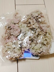 紫陽花　花材