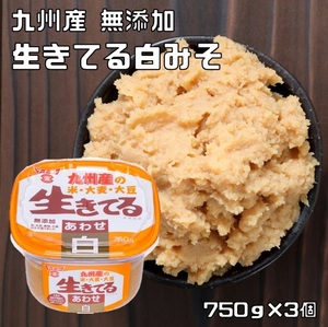 あわせ白味噌 750g×3個 生きてる 無添加 フンドーキン 合わせ味噌 あわせみそ 九州産 国産 国内製造 九州産原料使用