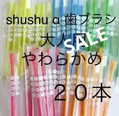 shushu α 歯ブラシ 高学年〜大人用　やわらかめ　２０本☆歯科専売