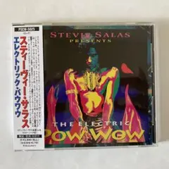 スティーヴィー・サラス／ザ・エレクトリック・パウワウ CD