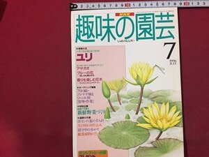 ｓ◆　1996年　NHK 趣味の園芸 7月号　ユリ　アサガオ ブルーの花 他　日本放送出版局　書籍のみ　書籍　雑誌　/M99