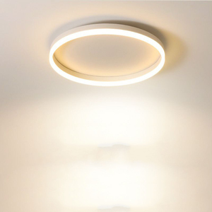 1円 シーリングライト30CM led 6畳 照明器具 おしゃれ 北欧 天井照明 北欧 和室 洋室 節電 省エネ リビング照明 寝室 居間ライト