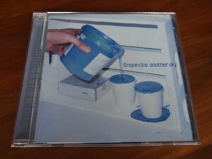 音楽★邦楽★CD★ロック・バンド★GRAPEVINE グレイプバイン★「another sky」PCCA-01789 全12曲収録★現状渡し