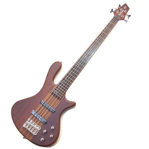 Washburn Taurus T-25 5-String 5弦エレキベース スルーネック ワッシュバーン