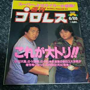 プロレス本　週刊プロレスNo.618　活字プロレス全盛期！？