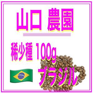 自家焙煎珈琲　山口農園　100ｇ　送料無料