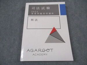 XL04-143 アガルートアカデミー 司法試験 2025 重要問題習得講座 刑法 2025年合格目標 ☆ 022S4D