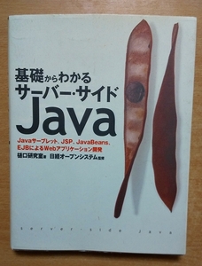 基礎からわかる サーバー・サイドJAVA　日経BP社