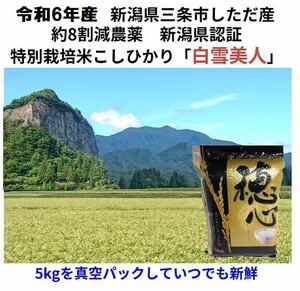 新米令和6年産　減農薬　新潟こしひかり白米5kg真空パック　新潟県三条市旧しただ村産　県認証　特別栽培米100% 白雪美人　グルテンフリー