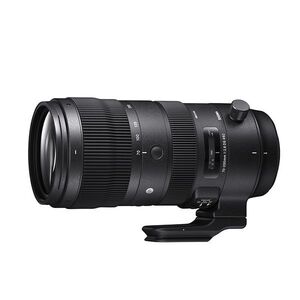 中古 １年保証 美品 SIGMA Sports 70-200mm F2.8 DG OS HSM (ニコンF用)